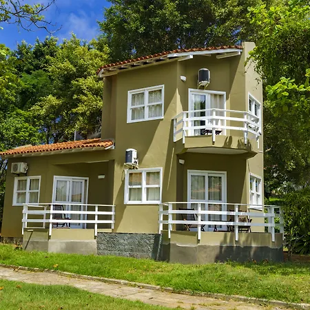 Apa Pau Brasil-3